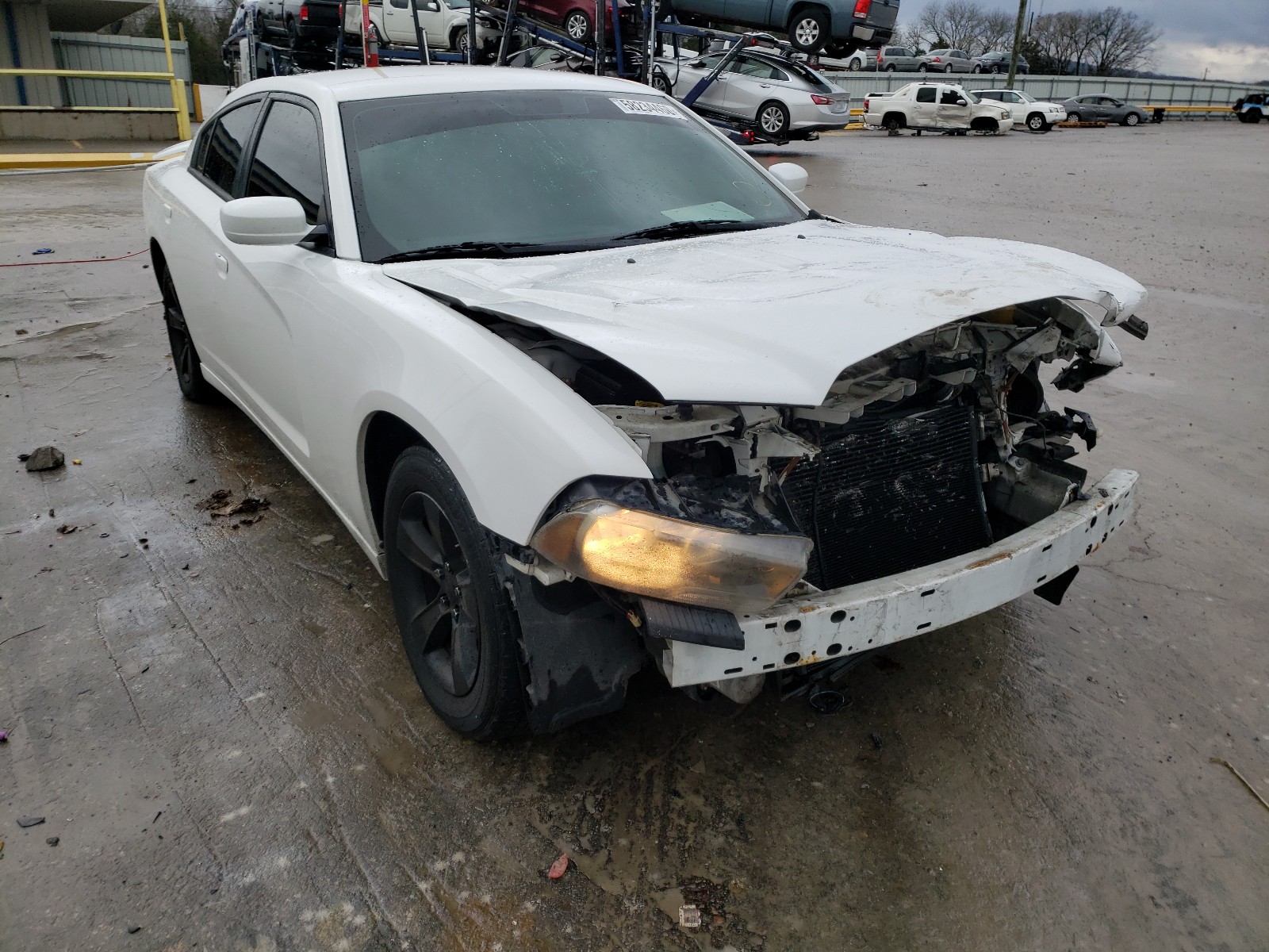 DODGE CHARGER 2011 2b3cl3cg1bh534266