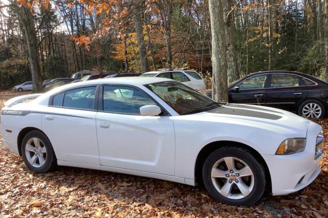 DODGE CHARGER 2011 2b3cl3cg1bh584715