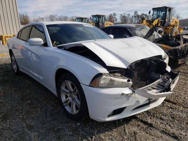 DODGE CHARGER 2011 2b3cl3cg2bh605944