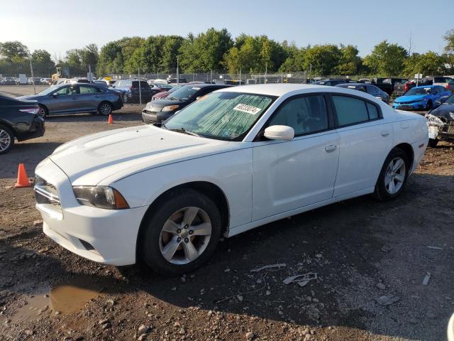 DODGE CHARGER 2011 2b3cl3cg5bh608255