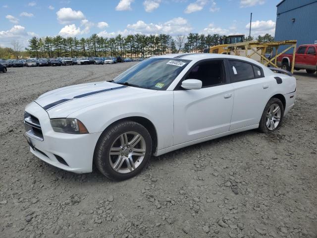 DODGE CHARGER 2011 2b3cl3cg7bh508447