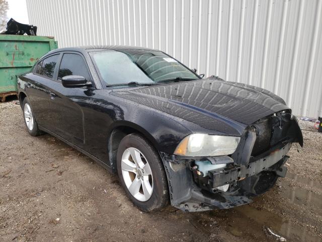 DODGE CHARGER 2011 2b3cl3cg7bh548611