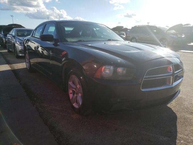 DODGE CHARGER 2011 2b3cl3cg8bh518372