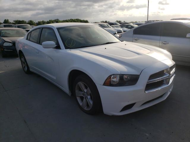 DODGE CHARGER 2011 2b3cl3cg8bh584890