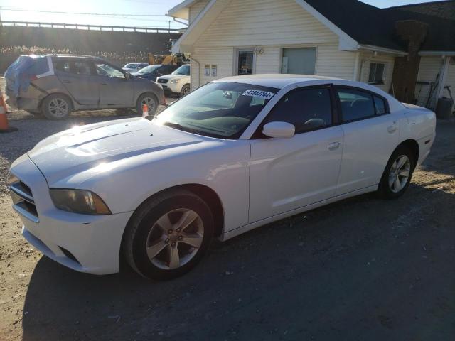 DODGE CHARGER 2011 2b3cl3cg9bh544737