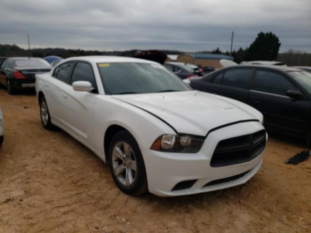 DODGE CHARGER 2011 2b3cl3cgxbh555987