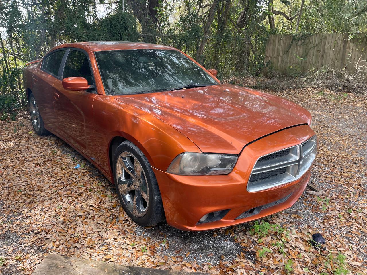 DODGE CHARGER 2011 2b3cl5ct7bh506609