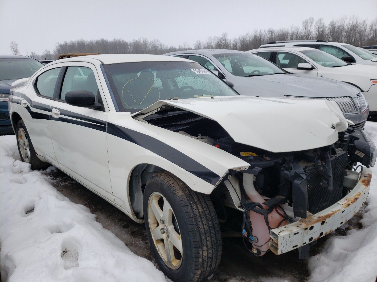 DODGE CHARGER 2009 2b3kk43v49h519595