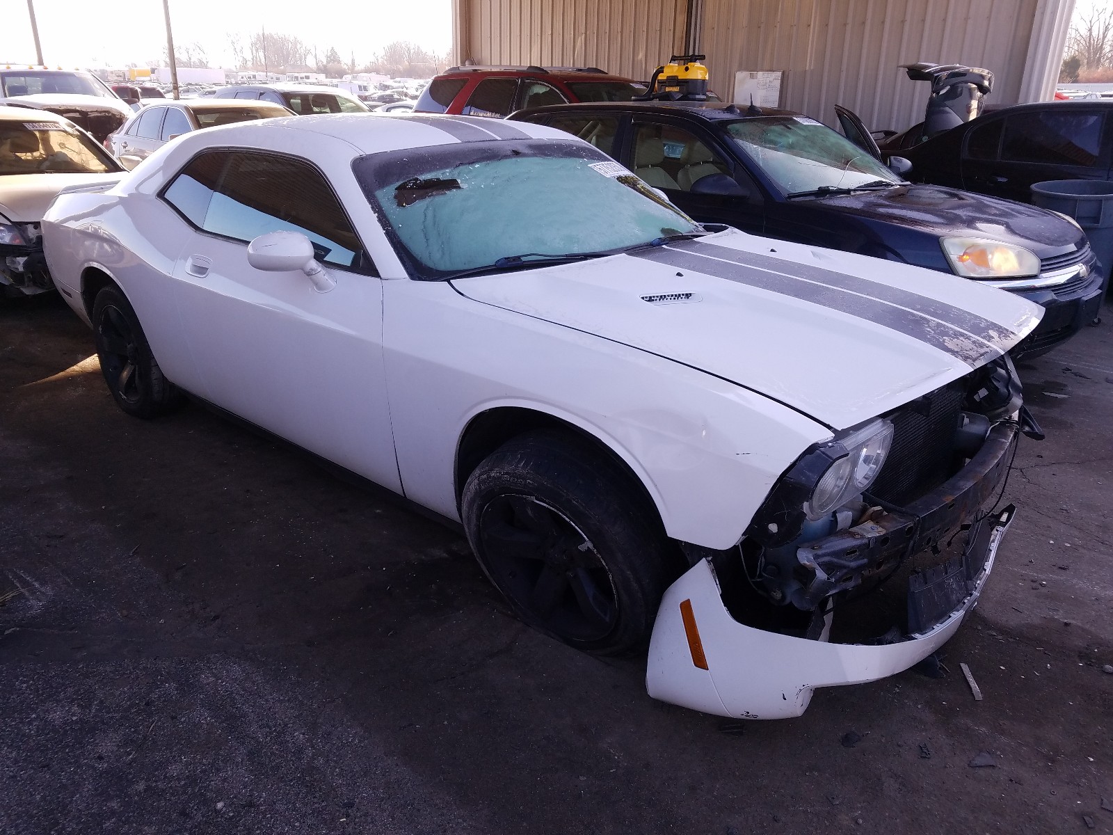 DODGE CHALLENGER 2009 2b3lj44v29h606305