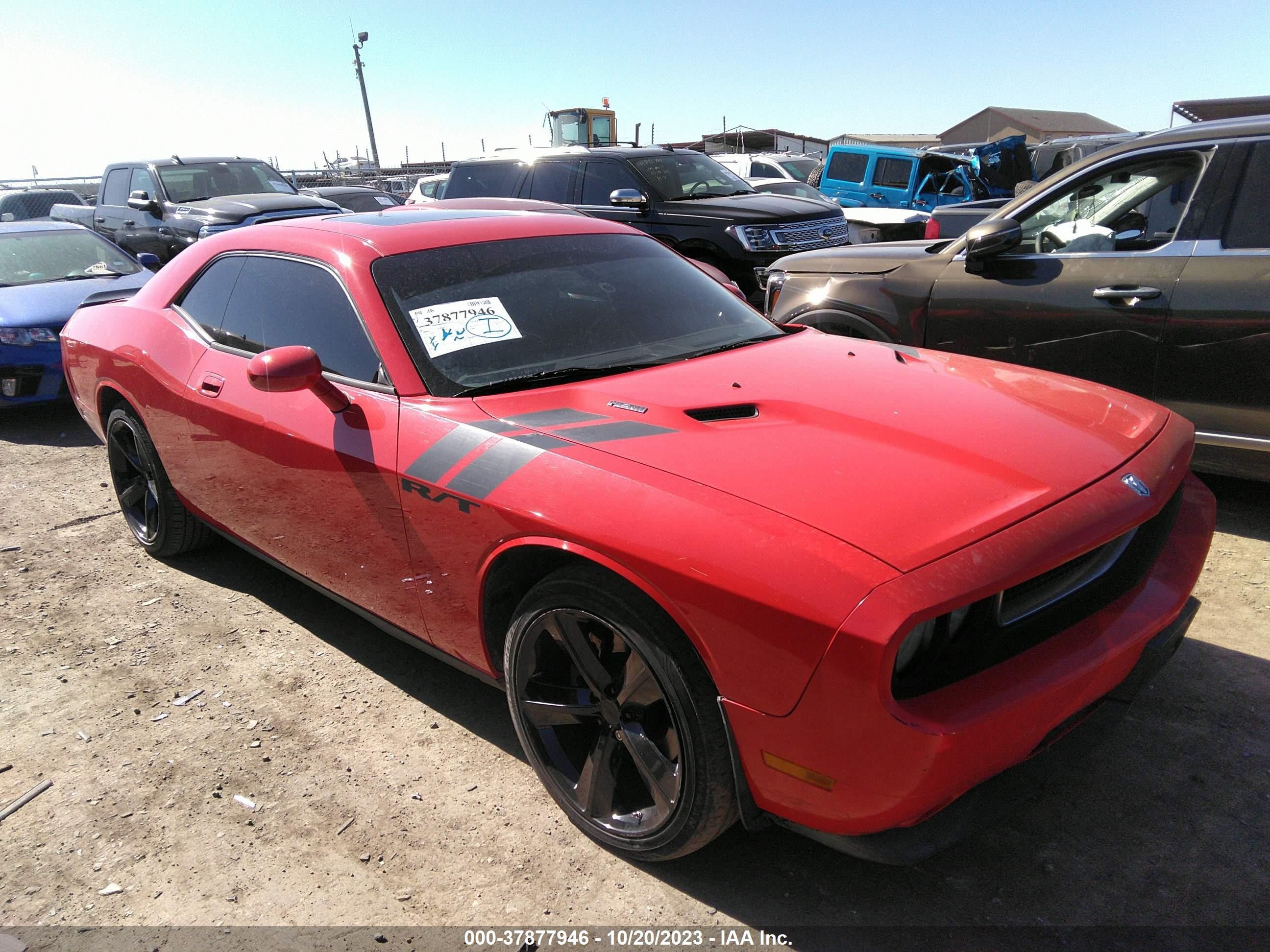 DODGE CHALLENGER 2009 2b3lj54t59h594199