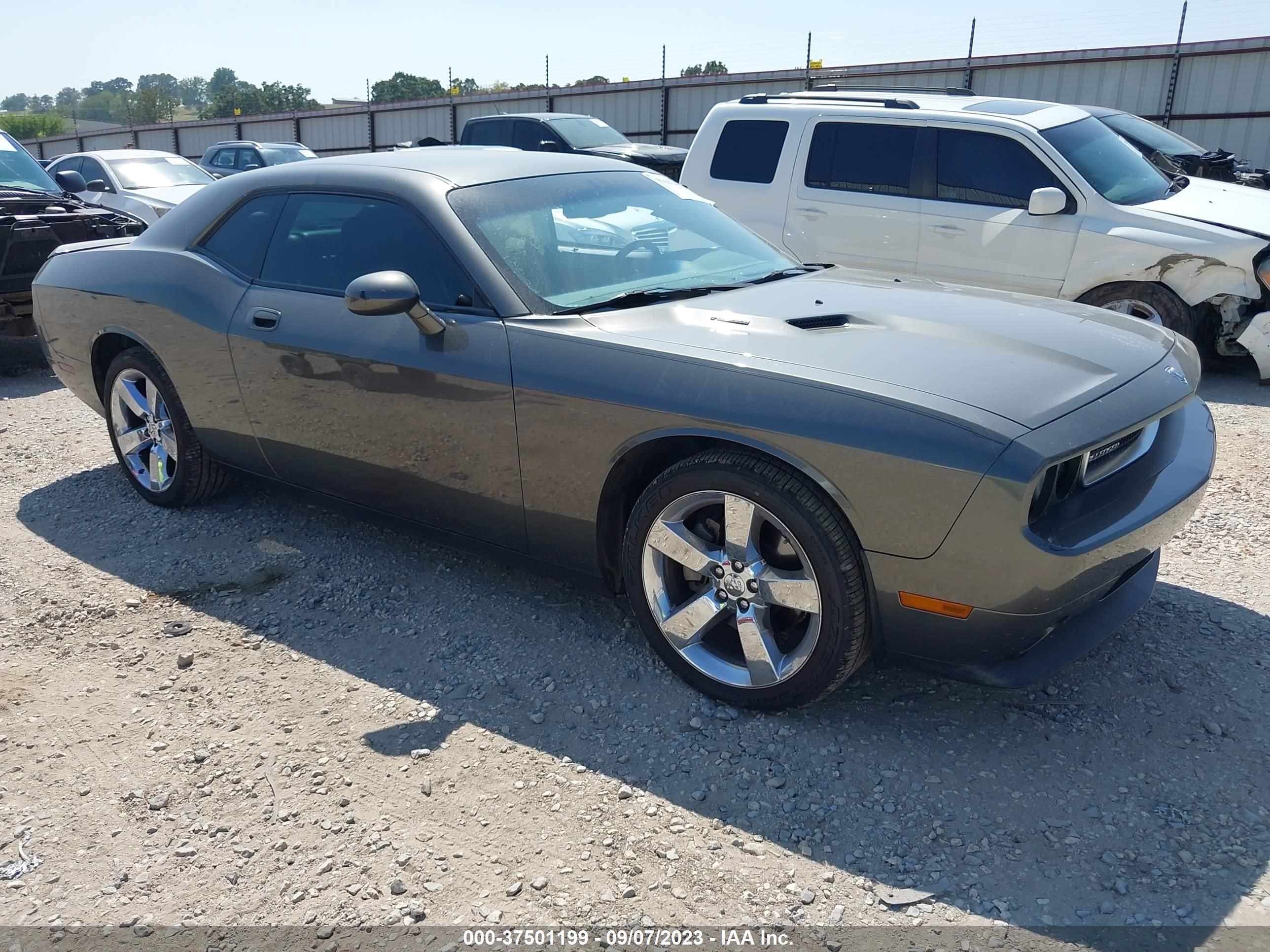 DODGE CHALLENGER 2009 2b3lj54tx9h503248