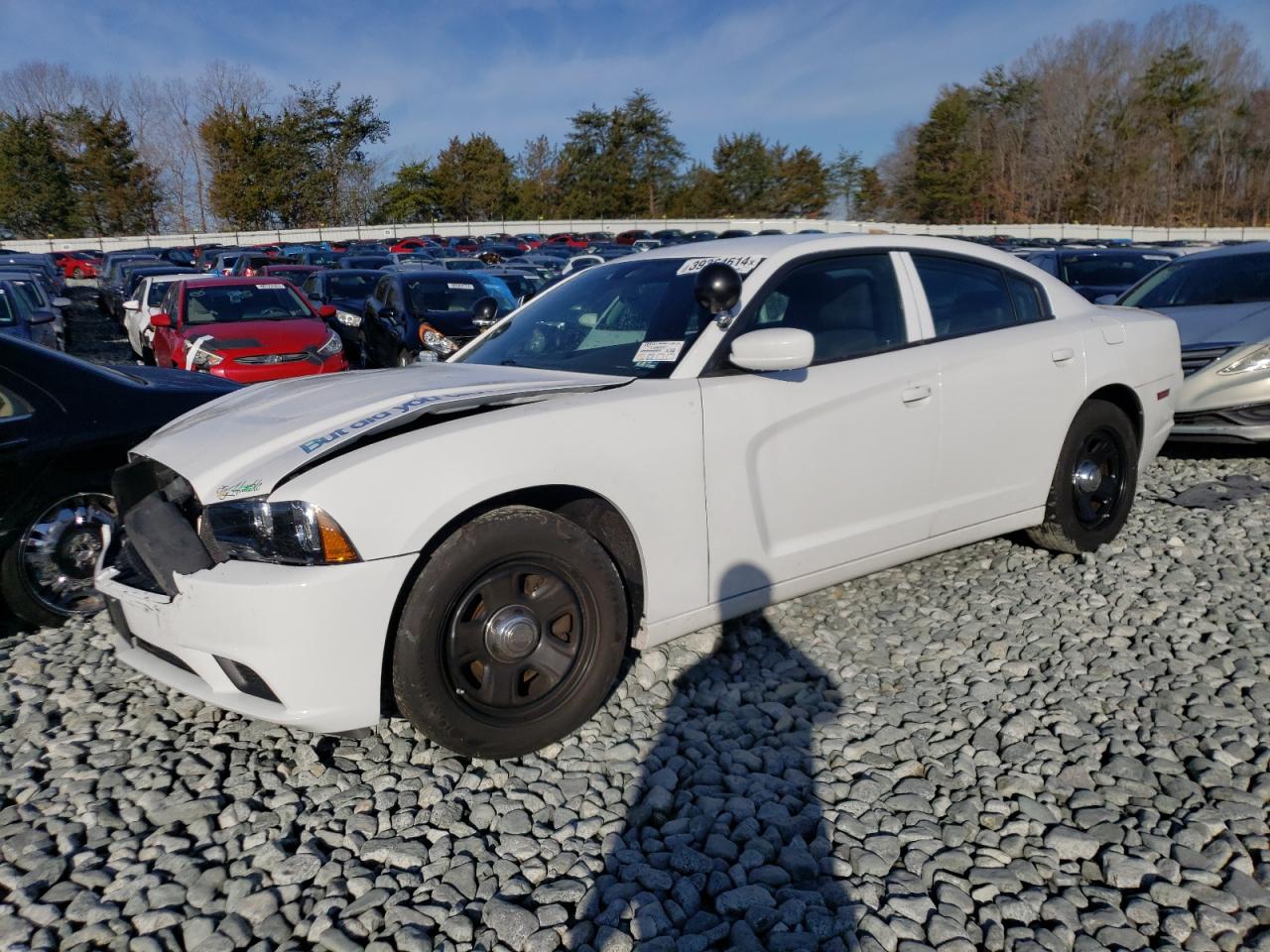 DODGE CHARGER 2014 2c3cdxag0eh209154