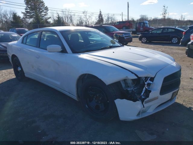 DODGE CHARGER 2013 2c3cdxag3dh686238