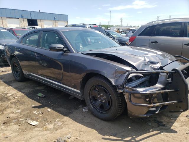 DODGE CHARGER PO 2013 2c3cdxag8dh604195