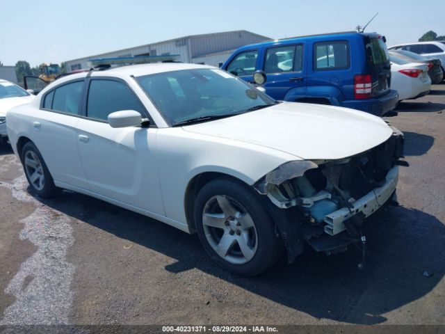 DODGE CHARGER 2015 2c3cdxag9fh916769