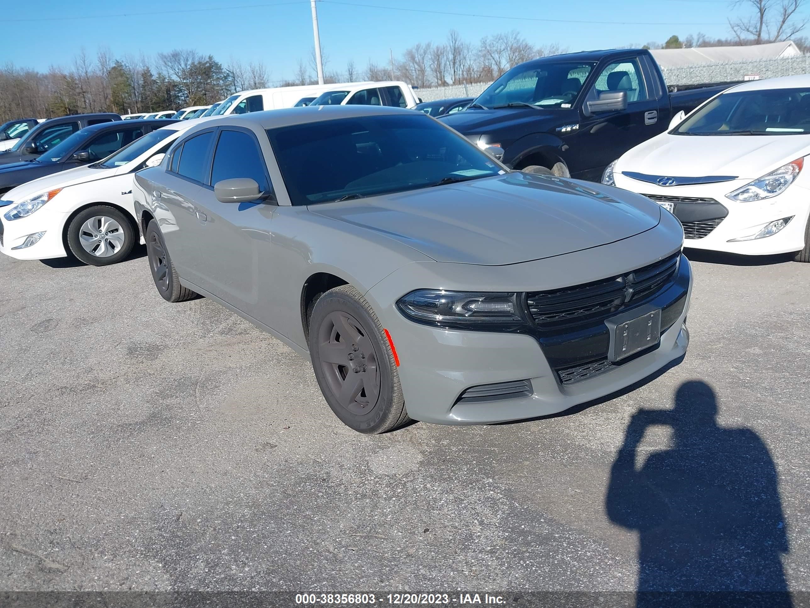 DODGE CHARGER 2019 2c3cdxag9kh513708