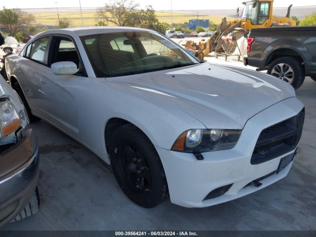 DODGE CHARGER 2014 2c3cdxagxeh193612