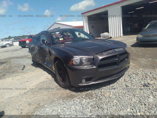 DODGE CHARGER 2014 2c3cdxat0eh348245