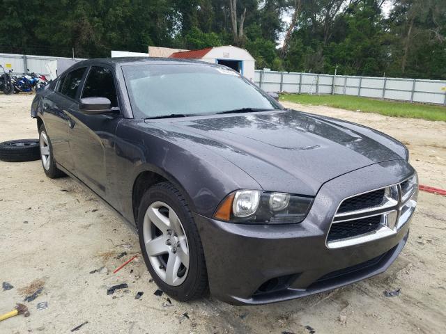 DODGE CHARGER PO 2014 2c3cdxat0eh348682