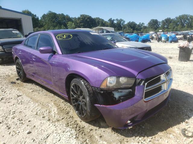 DODGE CHARGER PO 2014 2c3cdxat2eh172220