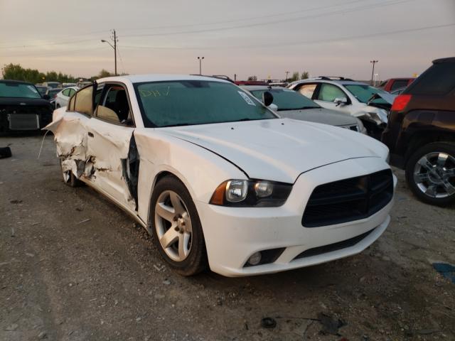 DODGE CHARGER PO 2014 2c3cdxat3eh208254