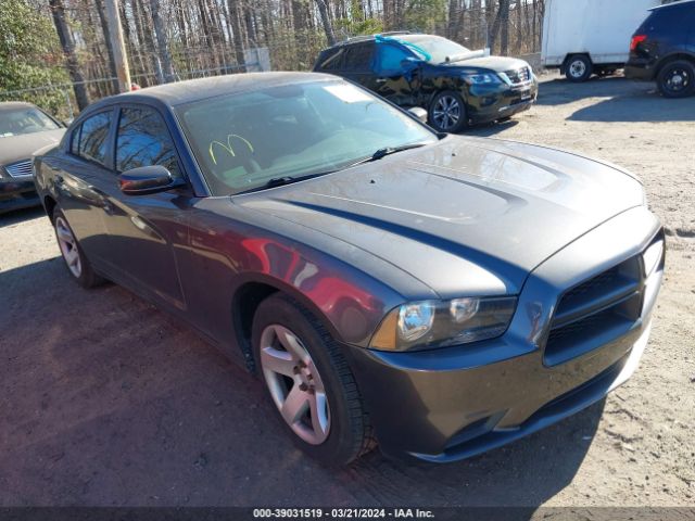 DODGE CHARGER 2014 2c3cdxat4eh198897