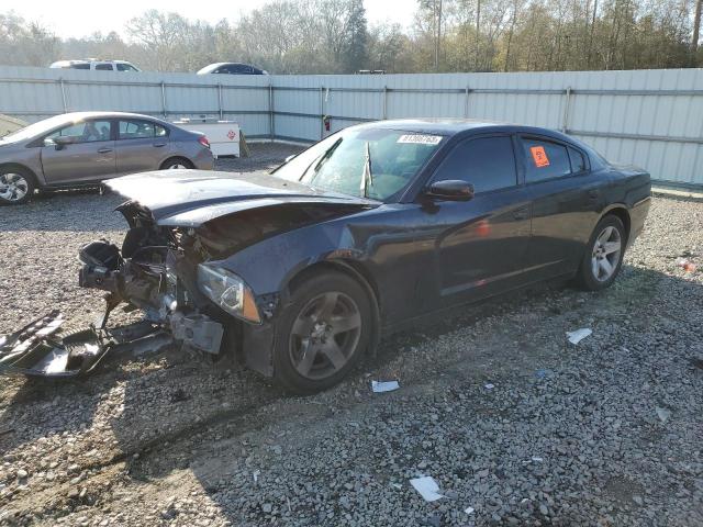 DODGE CHARGER 2014 2c3cdxat4eh244566