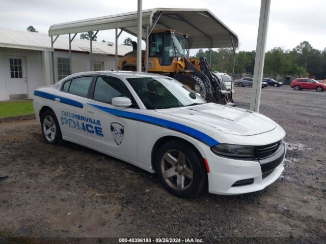 DODGE CHARGER 2019 2c3cdxat4kh599717