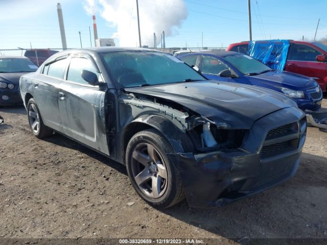 DODGE CHARGER 2014 2c3cdxat5eh329965