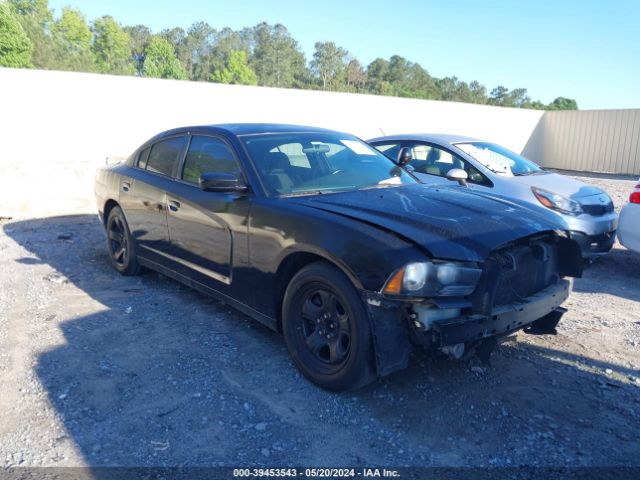 DODGE CHARGER 2013 2c3cdxat7dh696316