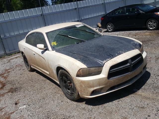 DODGE CHARGER PO 2014 2c3cdxat7eh121263