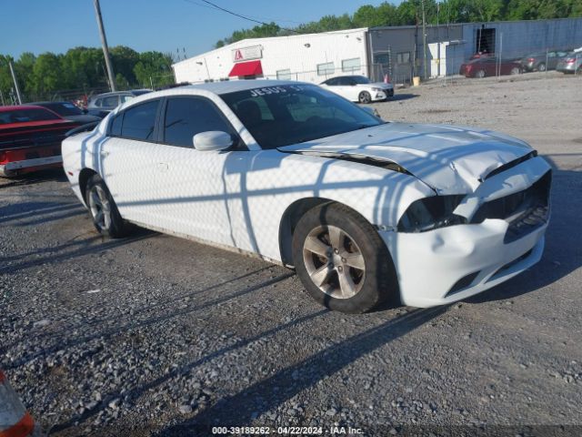 DODGE CHARGER 2014 2c3cdxbg0eh198249