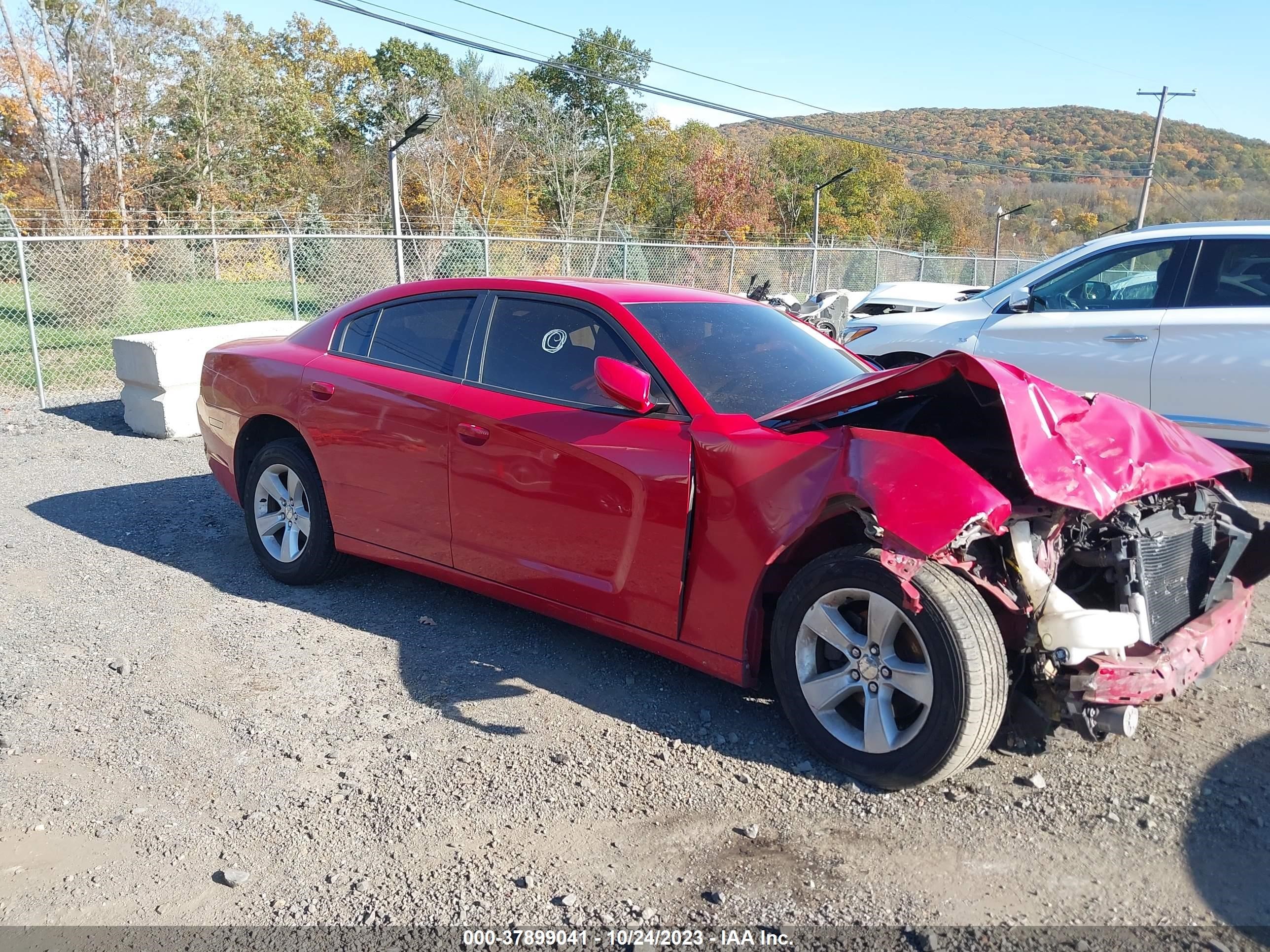 DODGE CHARGER 2013 2c3cdxbg1dh638204