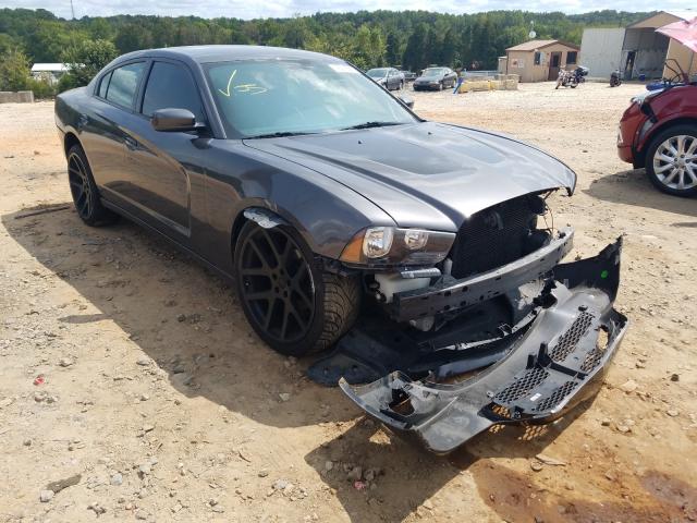 DODGE CHARGER 2013 2c3cdxbg1dh689623