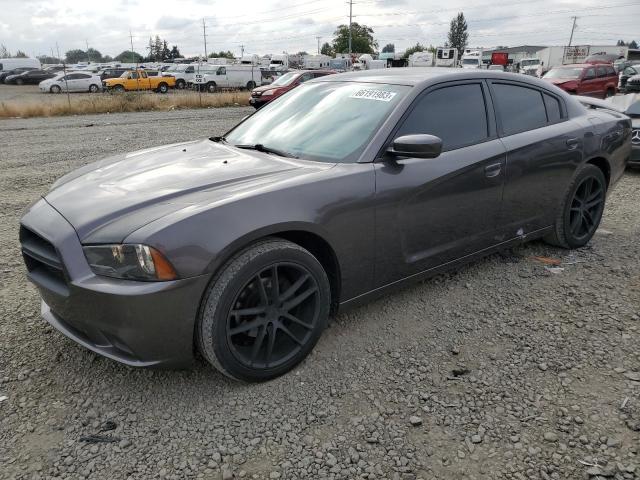 DODGE CHARGER 2014 2c3cdxbg1eh135452