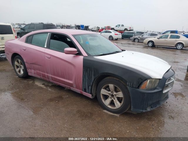 DODGE CHARGER 2013 2c3cdxbg2dh516483