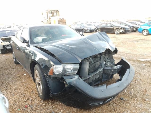 DODGE CHARGER 2014 2c3cdxbg2eh129496