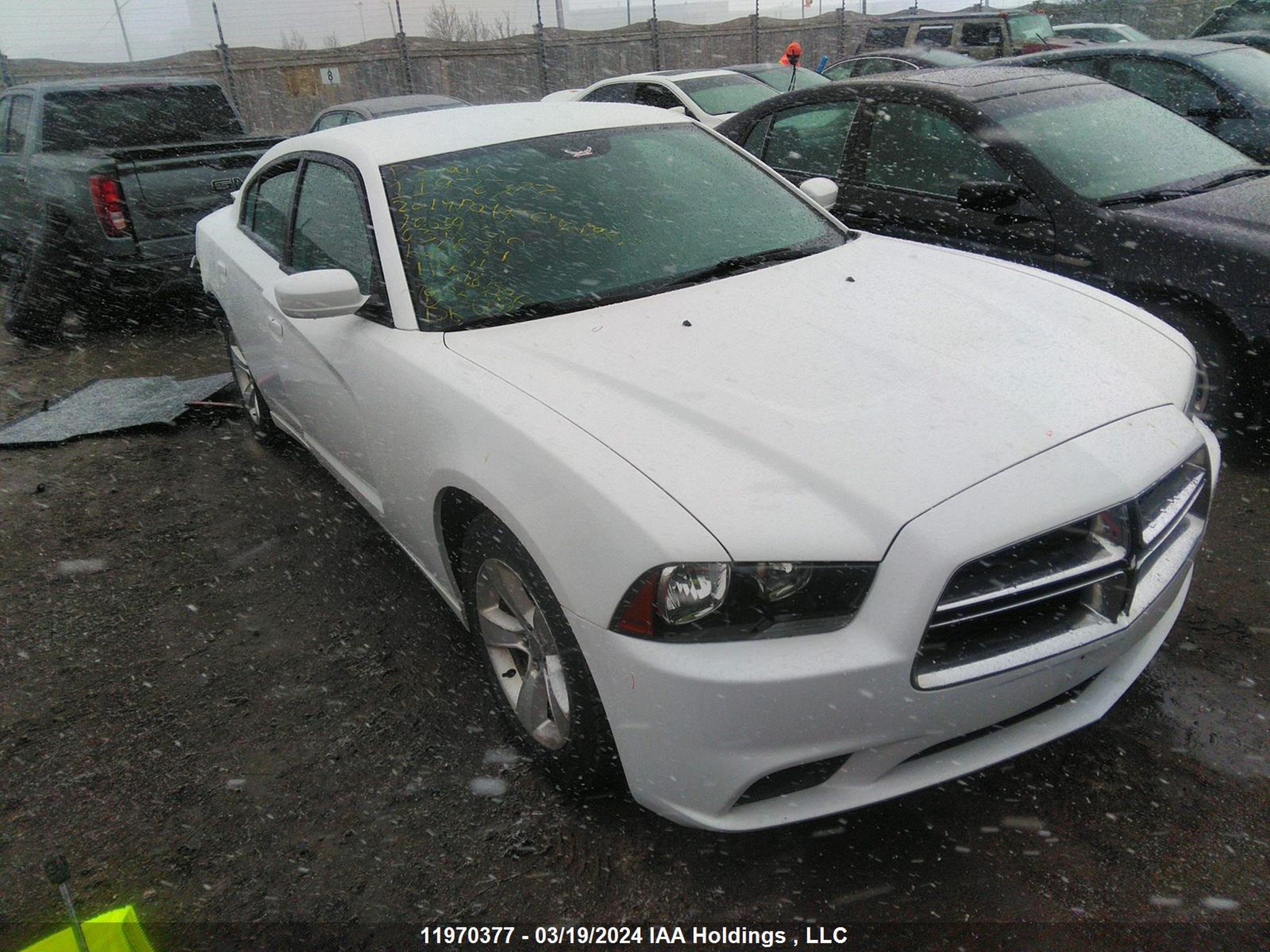 DODGE CHARGER 2014 2c3cdxbg3eh106597