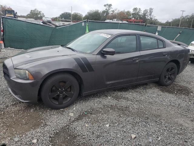 DODGE CHARGER 2014 2c3cdxbg3eh147022