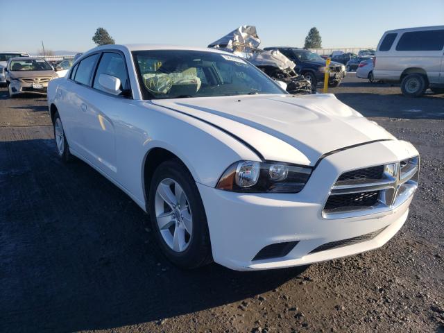 DODGE CHARGER 2014 2c3cdxbg3eh174642