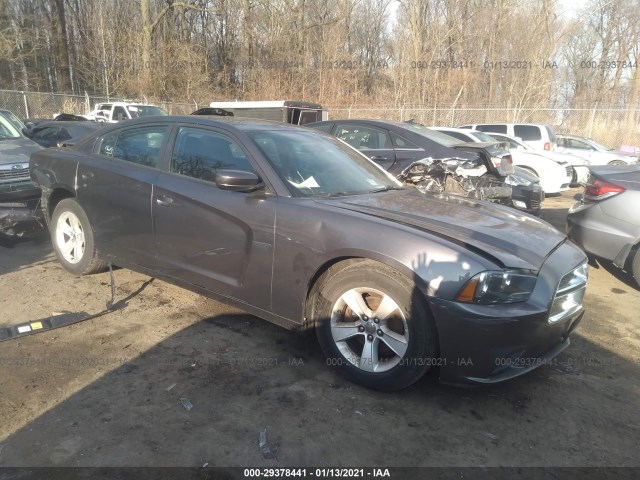 DODGE CHARGER 2014 2c3cdxbg3eh325401