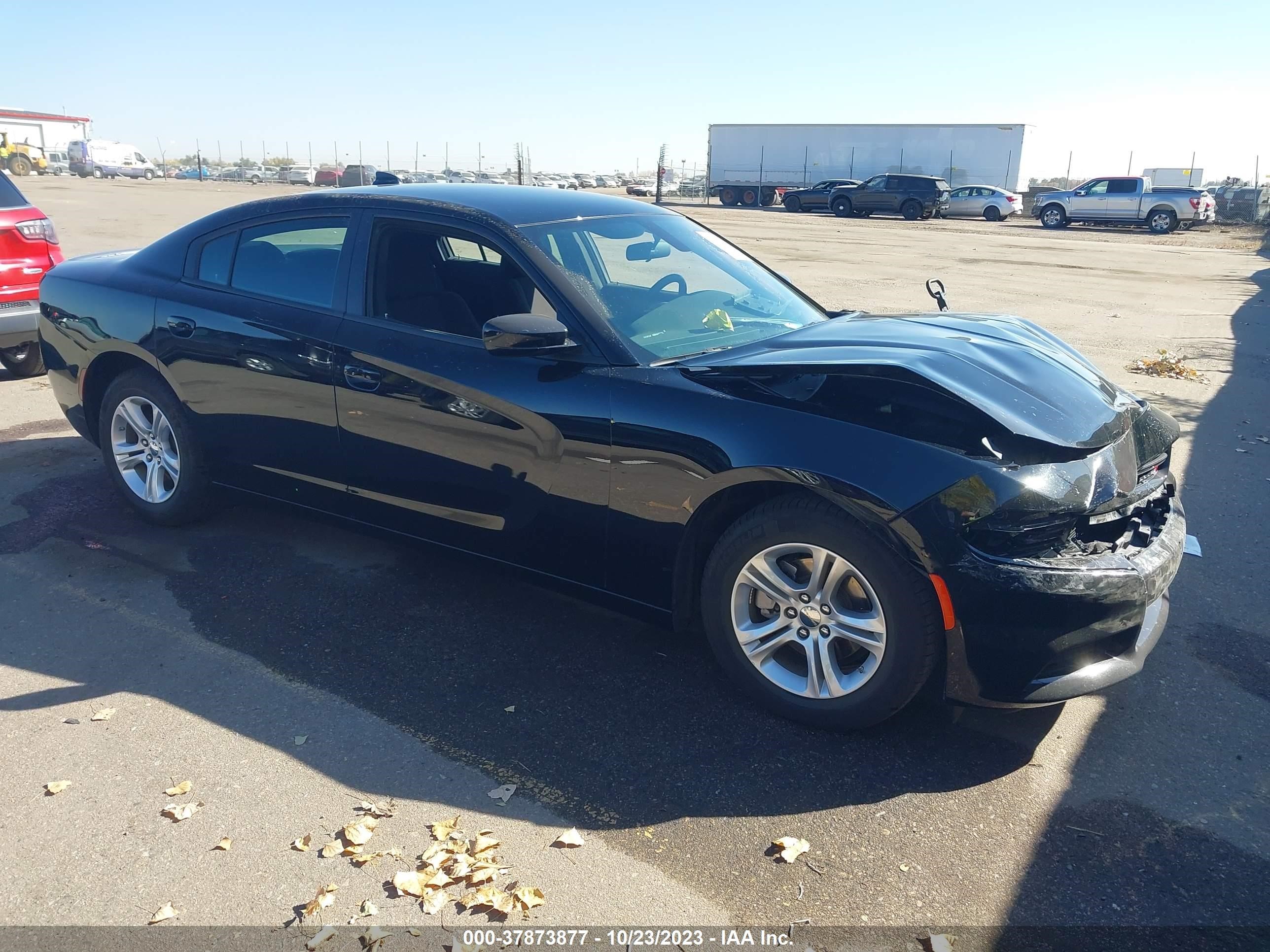 DODGE CHARGER 2023 2c3cdxbg3ph568631