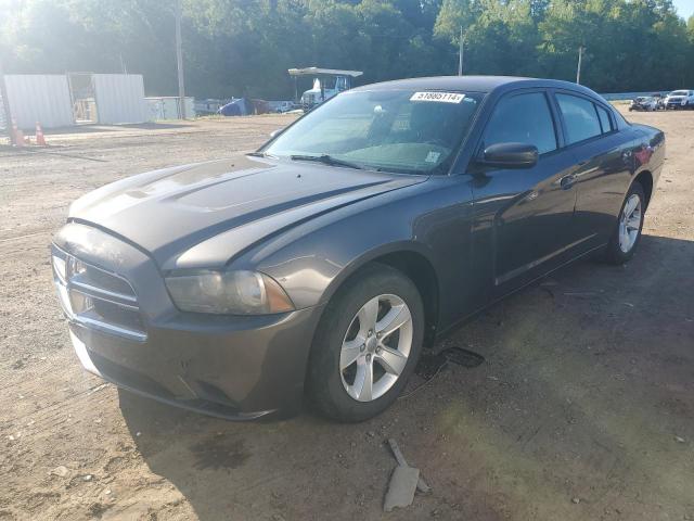 DODGE CHARGER 2014 2c3cdxbg4eh284874