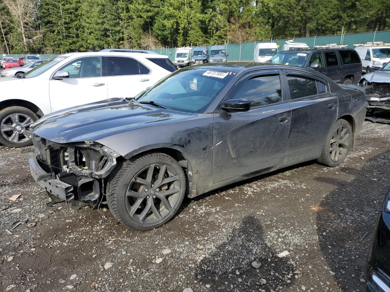 DODGE CHARGER 2021 2c3cdxbg4mh562137