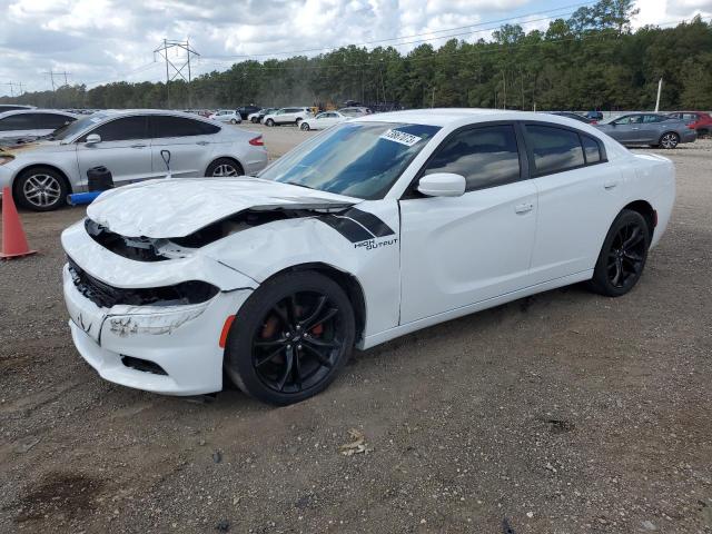 DODGE CHARGER 2019 2c3cdxbg5kh742031