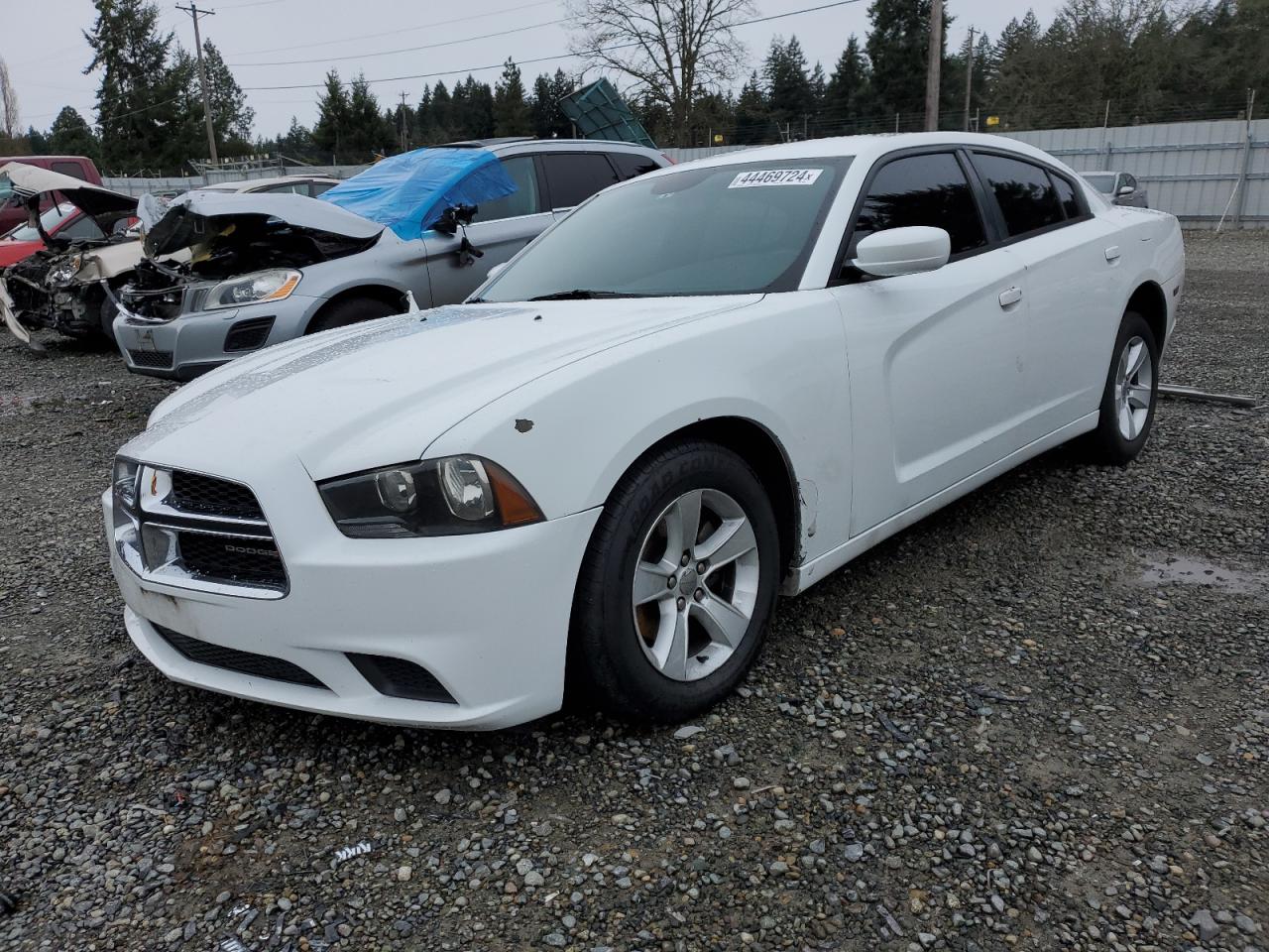 DODGE CHARGER 2014 2c3cdxbg7eh108692