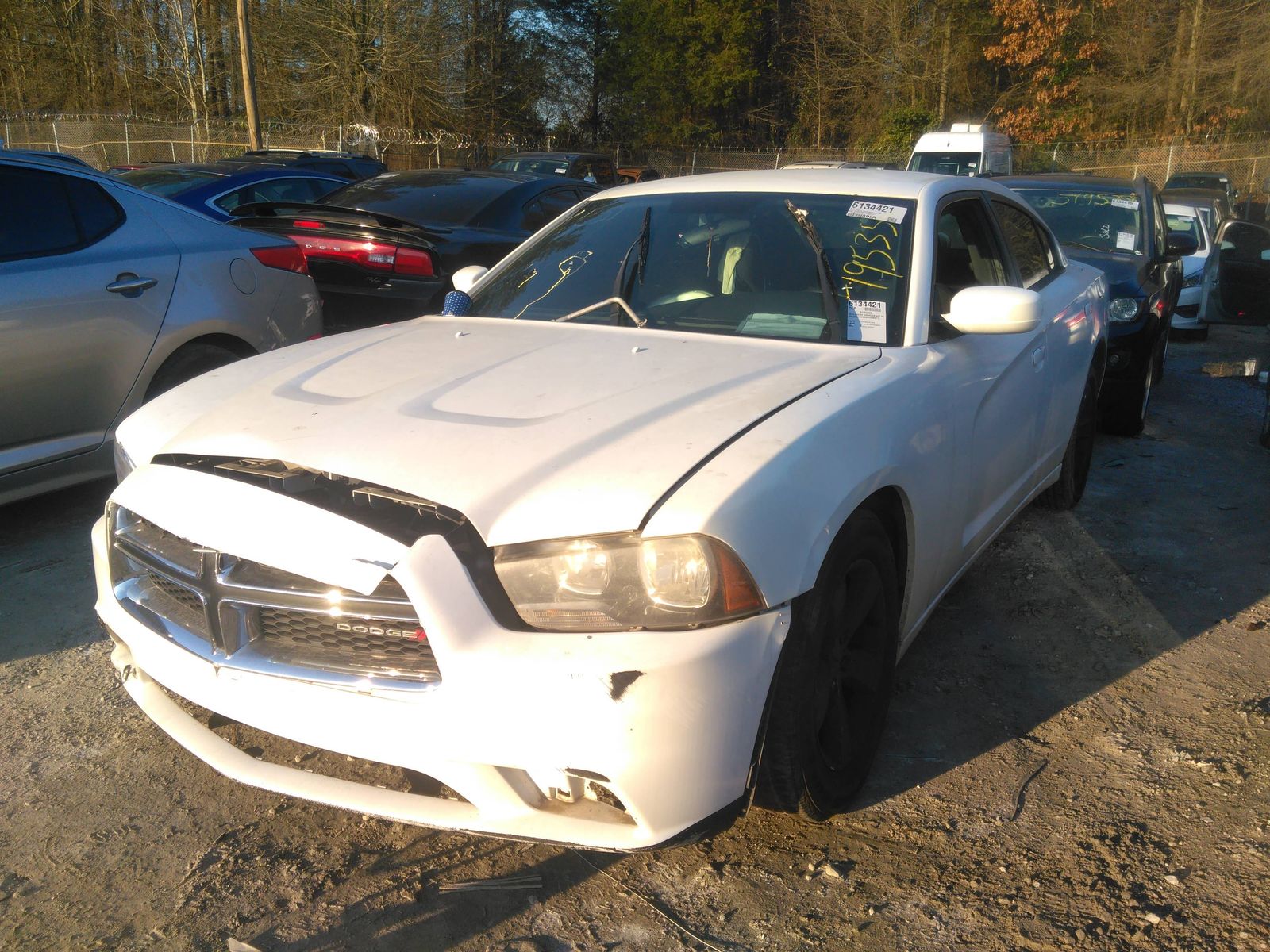 DODGE CHARGER 4X2 V6 2013 2c3cdxbg8dh596971