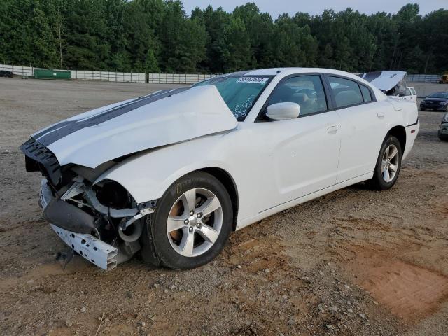 DODGE CHARGER 2014 2c3cdxbg8eh237394