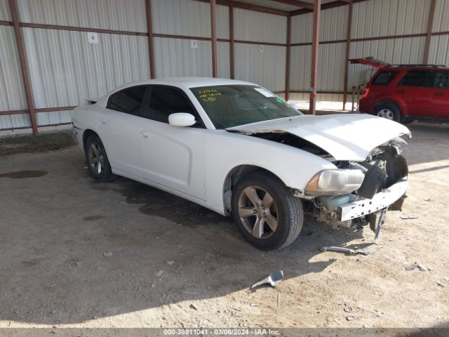 DODGE CHARGER 2014 2c3cdxbg8eh262649