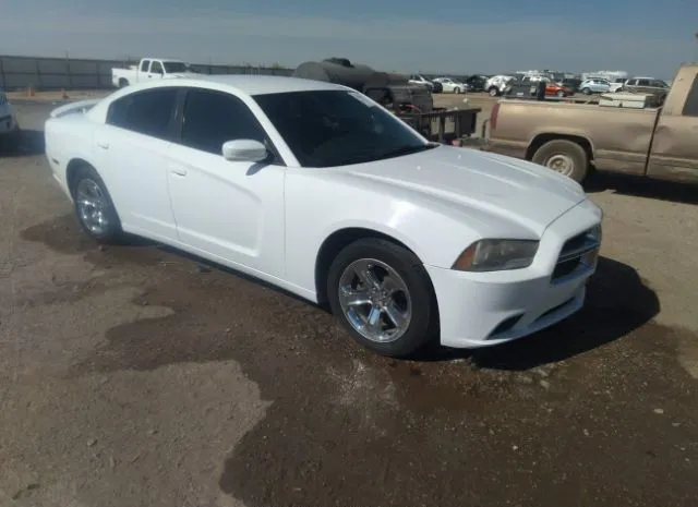 DODGE CHARGER 2014 2c3cdxbg8eh277829